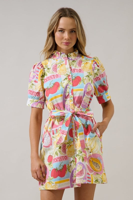 Farmers Market Button Down Mini Dress